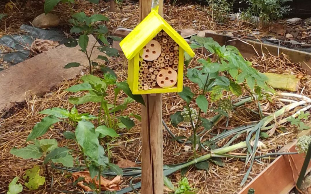 Una casetta per gli insetti utili